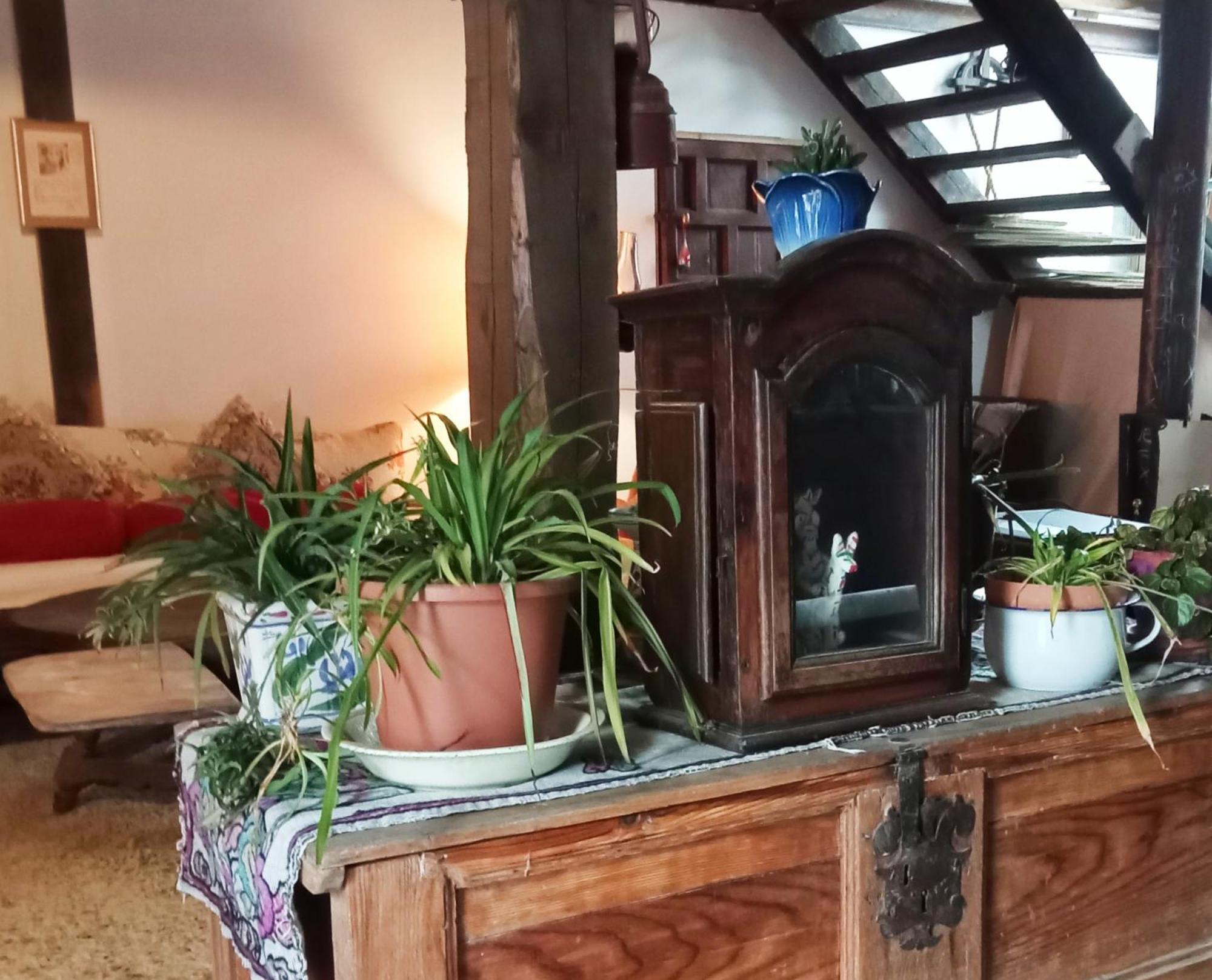 Suite En Cuadra Pajar, Casa Rural Hoz de Jaca Exterior foto